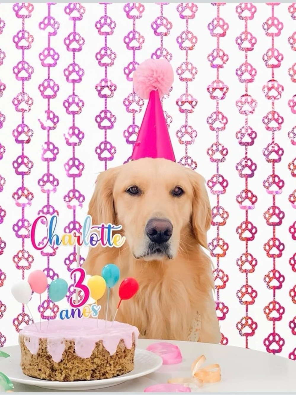 Pink Dog Birthday Supplies with Foil Curtains, balloons, Banner NWT - Picture 4 of 11